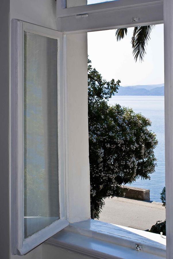 Apartment Dunja Djenovici Herceg Novi Exterior photo